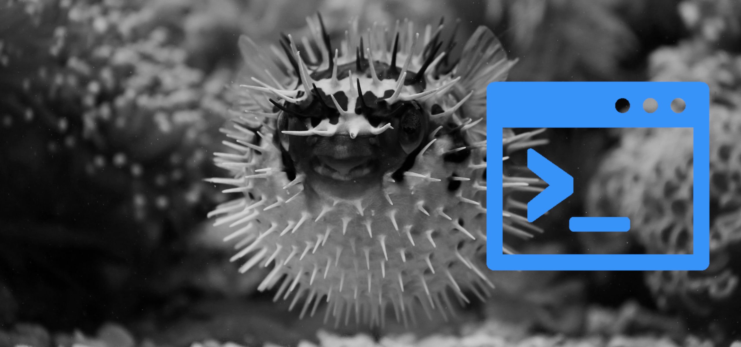Using a SSH config